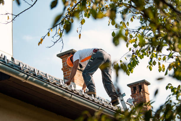 Best Gutter Installation and Roofing  in Fullerton, NE